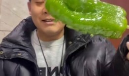 网红肖雅婷吃瓜事件,揭秘背后真相与网络舆论风暴